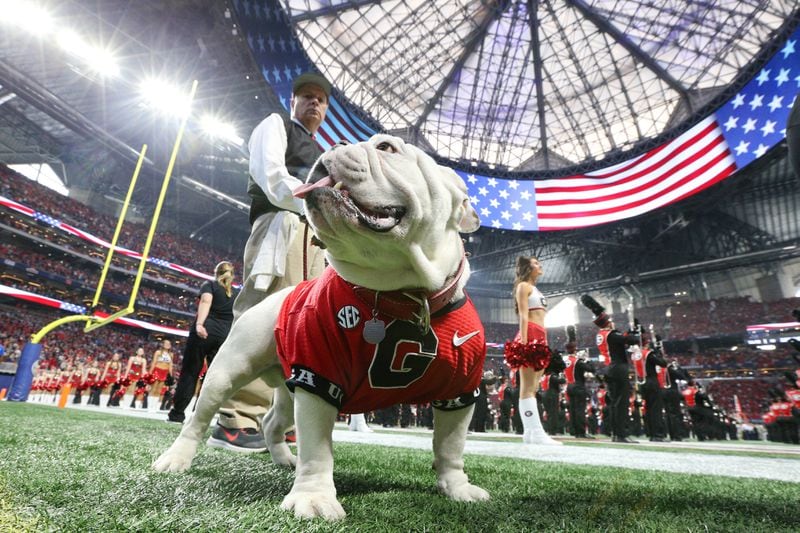 Georgia Bulldogs mascot Uga X prowls the sidelines during the first half of the SEC Football Championship at Mercedes-Benz Stadium, December 2, 2017, in Atlanta.  Curtis Compton / ccompton@ajc.com