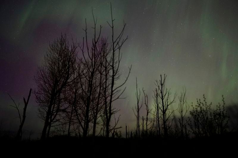The northern lights glow in the sky over St. Croix State Forest near Markville, Minn., late Friday, May 10, 2024. (AP Photo/Mark Vancleave)