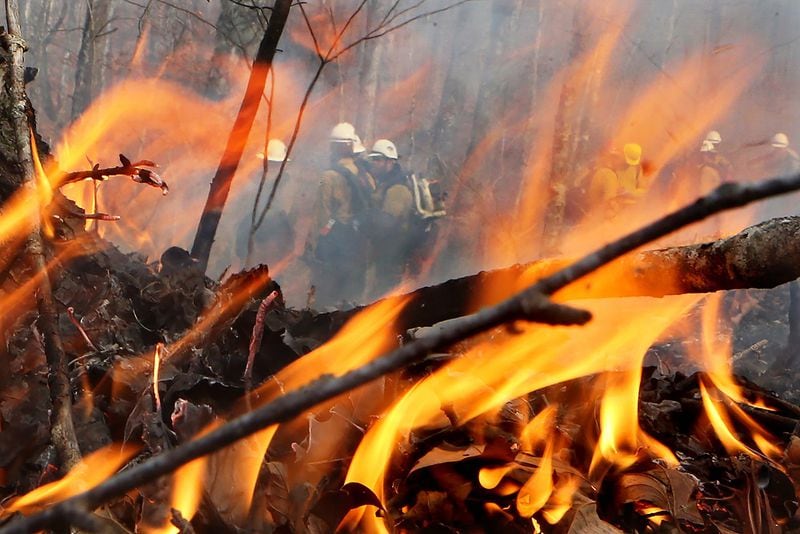 While working on the Tatum Gulf fire in 2016, the Georgia Forestry Commission's Darryl Jackson recalled seeing live trees instantly burn due to the lack of moisture. CURTIS COMPTON / CCOMPTON@AJC.COM