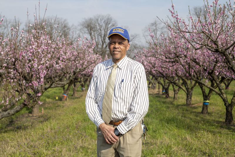 Ralph Noble, dean of the College of Agriculture, Family Sciences and Technology at Fort Valley State University stands near rows of peach trees on the university’s farmland in Fort Valley. The university works closely with the area’s Black farmers to provide information on traditional farming methods and bring them up to speed on technology and policy. (Alyssa Pointer / Alyssa.Pointer@ajc.com)