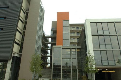 Tribute Lofts auctions off condos