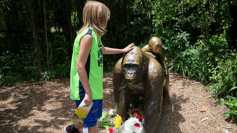 A child touches the head of a gorilla statue where flowers have been placed outside the Gorilla World exhibit at the Cincinnati Zoo & Botanical Garden, Sunday, May 29, 2016, in Cincinnati. On Saturday, a special zoo response team shot and killed Harambe, a 17-year-old gorilla, that grabbed and dragged a 4-year-old boy who fell into the gorilla exhibit moat. Authorities said the boy is expected to recover. He was taken to Cincinnati Children's Hospital Medical Center. (AP Photo/John Minchillo)