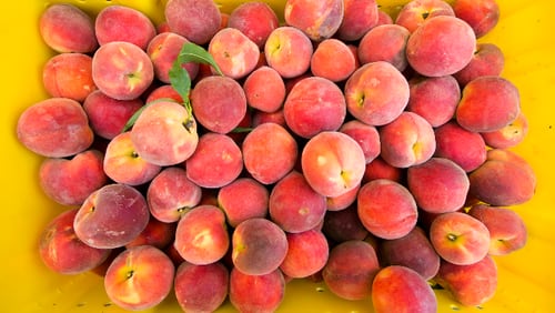 Fresh peaches at Eckhardt Orchard in Fredericksburg on Thursday June 25, 2015. JAY JANNER / AMERICAN-STATESMAN