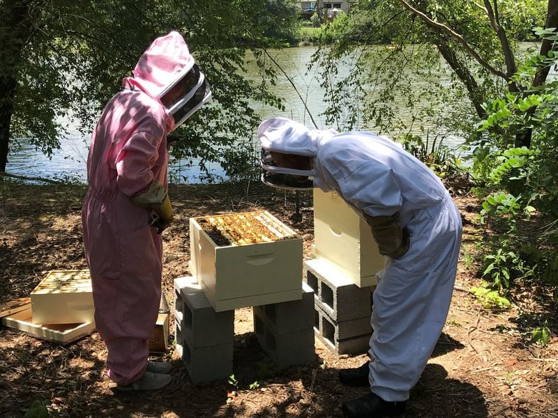 Ray’s on the River executive chef Scott Hemmerly (right) inspects the beehive at the restaurant with beekeeper Brooke Vacovsky. LIGAYA FIGUERAS / LFIGUERAS@AJC.COM