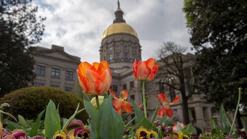 Morning dew on flowers at the Georgia State Capitol in Atlanta, Monday, March 28, 2016.  BRANDEN CAMP/SPECIAL