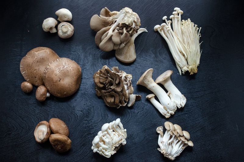 More than 2,000 mushroom species are edible. Commonly consumed mushrooms include: (top row, left to right) white button, oyster and enoki; 
(center row, left to right) portobello and cremini, maitake, and king trumpet; and
(bottom row, left to right) shiitake, white beech and brown beech.
(Virginia Willis for The Atlanta Journal-Constitution)