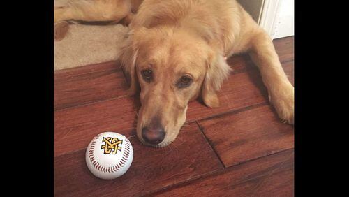 Kennesaw State University is holding a "Bark in the Park" event on Saturday.