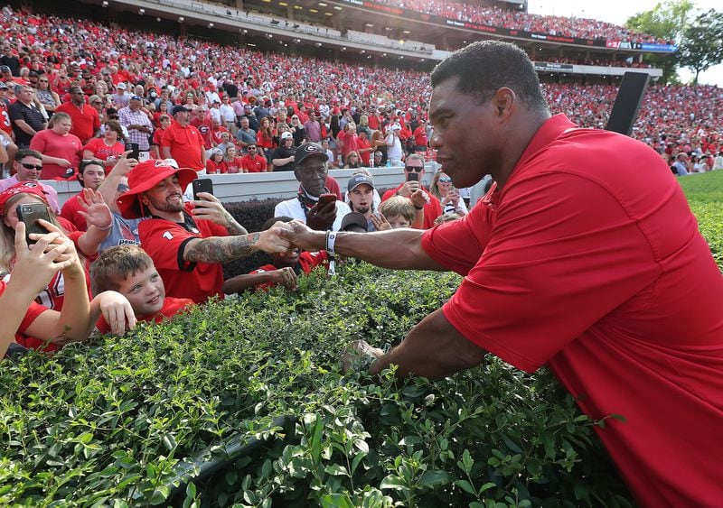Herschel Walker, in September 2021 during his campaign for the U.S. Senate, works the hedges shaking hands with fans at a University of Georgia football game in Athens. Curtis Compton / Curtis.Compton@ajc.com