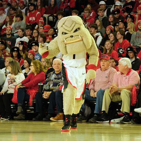 Georgia’s mascot gets the fans going. Nell Carroll for the AJC