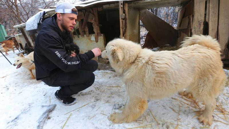In this Friday, Feb. 23, 2018, photo, American freestyle skier Gus Kenworthy plays with a dog at a dog meat farm in Siheung, South Korea. Kenworthy saved five stray dogs during the Sochi Olympics four years ago and is adopting one of the many puppies he met Friday after finishing competition the Pyeongchang Games. (AP Photo/Ahn Young-joon)
