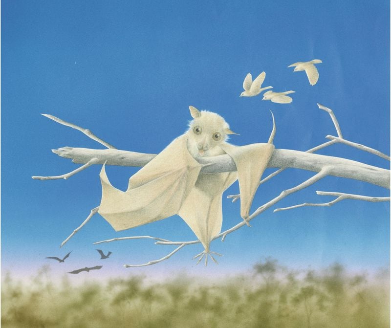 A baby bat is separated from her mother, and is adopted by a nest of birds. She’s allowed to stay, as long as she acts like a bird. The story, “Stellaluna,” is adapted by the Center for Puppetry Arts for its 2019-2020 season. CONTRIBUTED: CENTER FOR PUPPETRY ARTS
