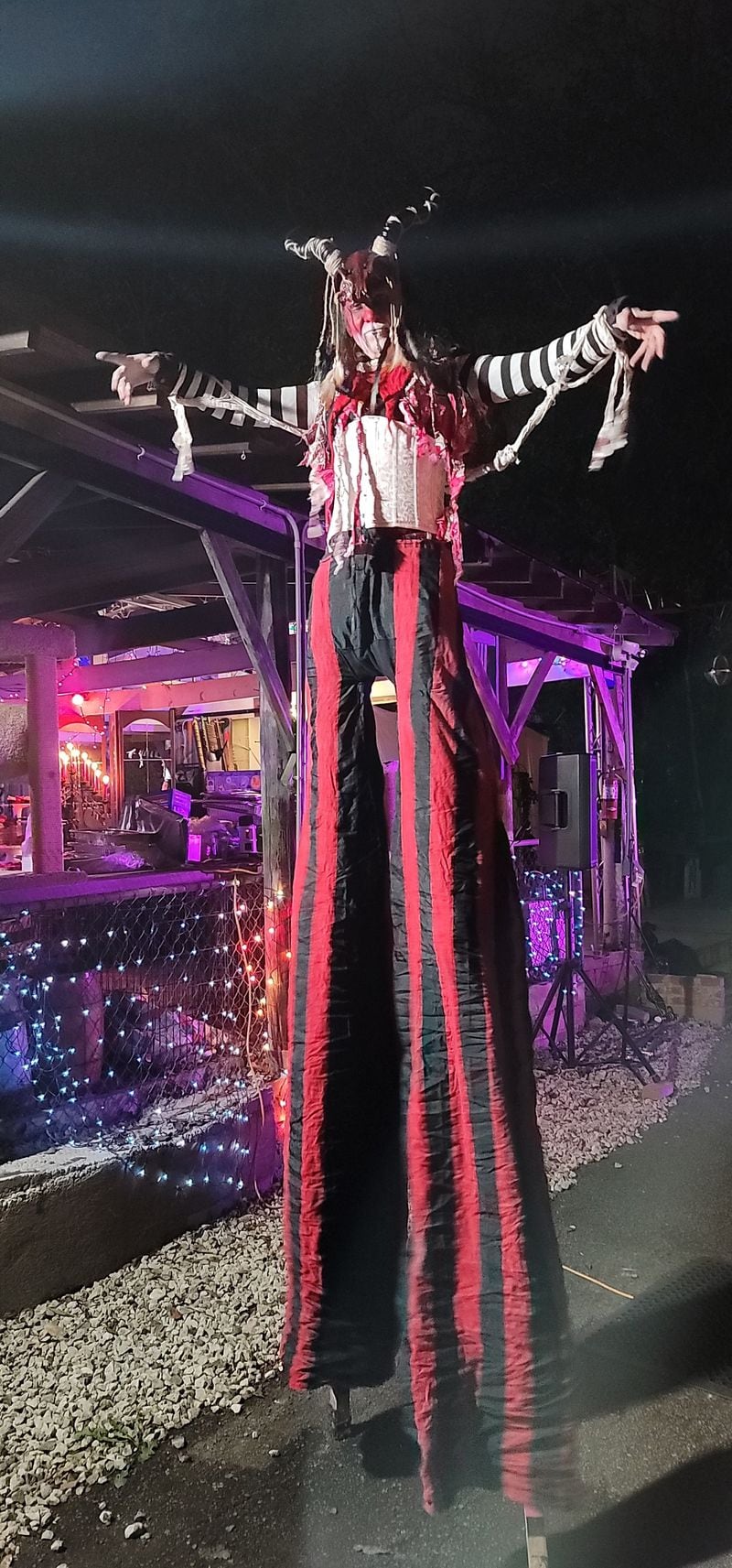 Dawn Erich and Nicholas Payne staged a Goth Victorian wedding at the Heck House, complete with stilt-walkers and fire dancers. They both enjoyed the ambience. Photo: Danny Hunter