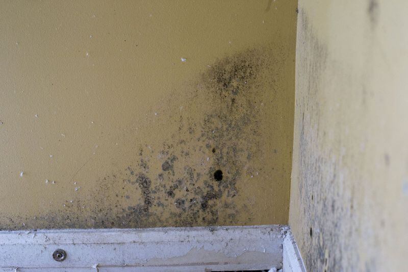 07/02/2018 — Fairburn/South Fulton, GA - Mold can be seen on the walls of Crystal Shaw’s house in the Chestnut Ridge subdivision in South Fulton, Monday, July 2, 2018. Crystal and her family, including her husband and two children, have been staying at an extended stay hotel. A tornado ripped through the subdivision in March 2018. Some residents displaced by the weather moved in with other family members, sheltered in hotels or rented another house. ALYSSA POINTER/ALYSSA.POINTER@AJC.COM