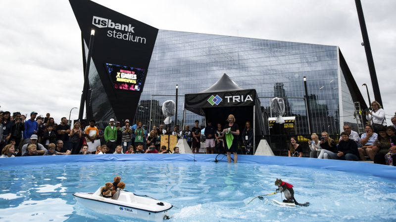 Twiggy, the water-skiing squirrel, performs outside U.S. Bank Stadium as part of X Fest in Minneapolis, Thursday, July 19, 2018.