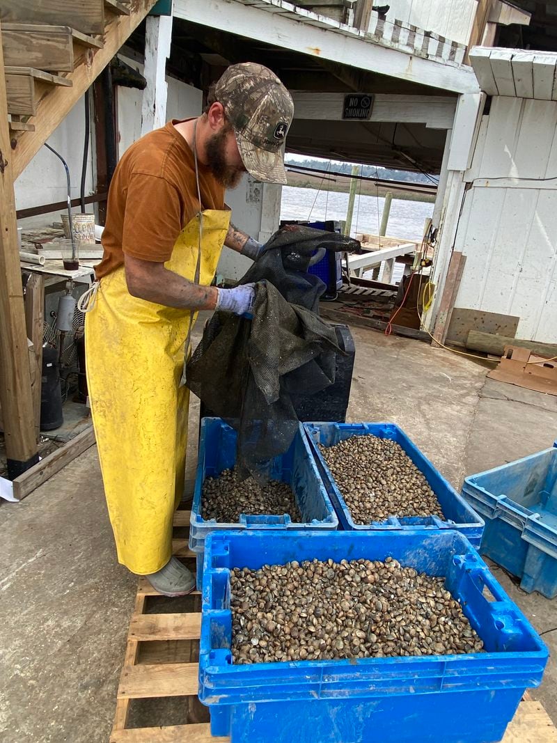 Fishing operations like Sapelo Sea Farms, which grows clams and harvests wild oysters in nearby waters, operates along the docks of the Sapelo River in Townsend, 14 miles north of Darien. Ligaya Figueras/ligaya.figueras@ajc.com