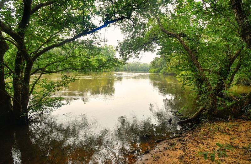 The picturesque and fast moving Flint River borders the western edge of Longleaf Ridge Farm.  (Chris Hunt for The Atlanta Journal-Constitution)