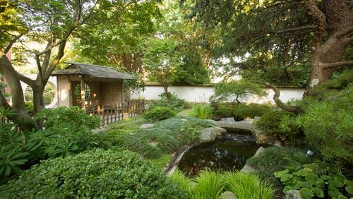 The Japanese Garden at Atlanta Botanical Garden is the oldest “room” in the garden, having been in Piedmont Park since the 1960s — before Atlanta Botanical Garden was chartered.