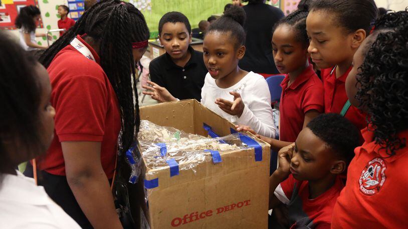 Students in Tanisha Taylor's 4th grade STEM class at the McNair Discovery Learning Academy designed traps in 2015 to catch the endangered Cane Toad.