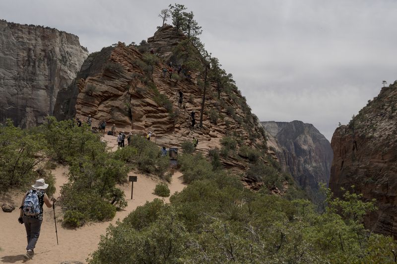 
                        FILE — Visitors hike along a trail to hike Angels Landing at Zion National Park in Utah, May 29, 2021. At Zion National Park, visitors wishing to hike Angels Landing, the dramatic 1,488-foot-tall rock formation, need to purchase a permit this year. (Bridget Bennett/The New York Times)
                      