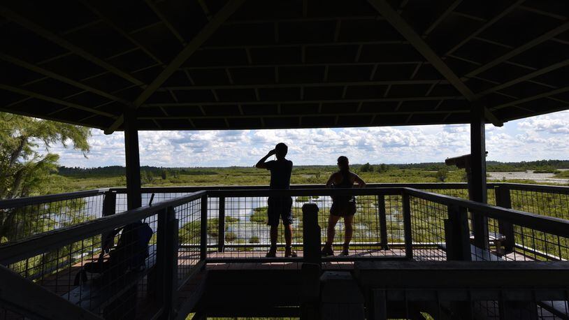 Tourists enjoy the view from the Owls Roost Tower in Okefenokee National Wildlife Refuge in Folkston. HYOSUB SHIN / HYOSUB.SHIN@AJC.COM
