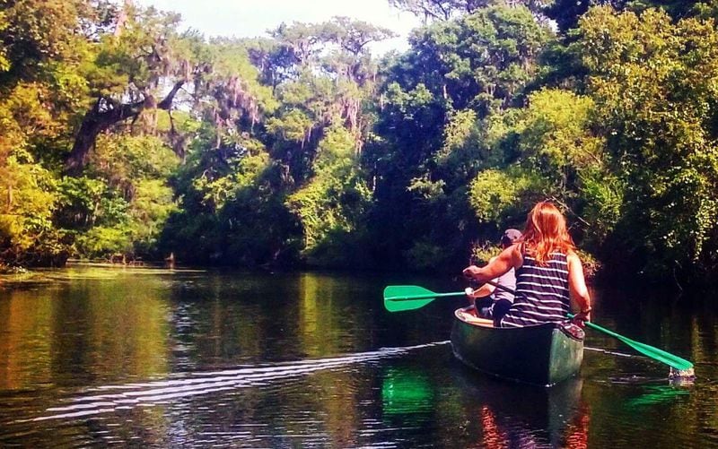 Canoeing on one of the rivers in the coastal Georgia area of Savannah with Wilderness Southeast Wildlife & Nature Tours is a good way to immerse yourself in the natural environment.