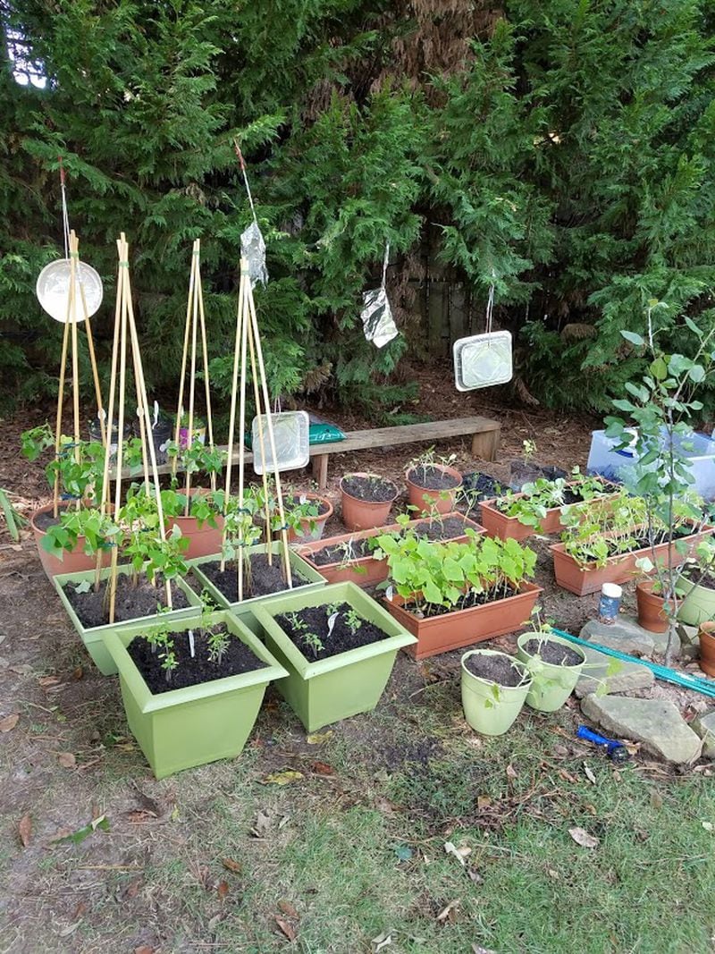Easy To Grow Herb Gardens