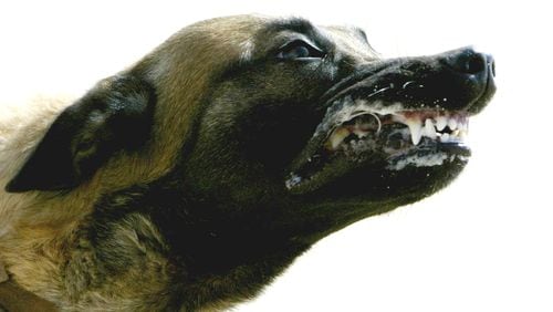 State Farm said May 15, 2013, that it paid out more than $108 million in dog-bite claims in 2012.