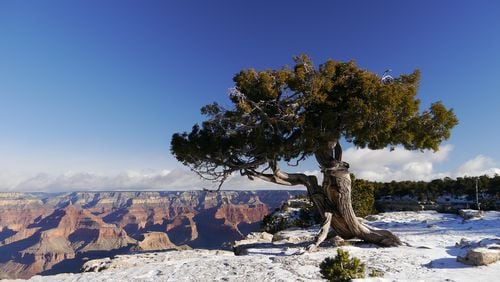 Winter visitors to Grand Canyon National Park can expect cool to cold temperatures, including snows. But those coming prepared for cold weather can avoid the summer crowds and enjoy solitude along the trails. CHRISTOPHER QUINN/CQUINN@AJC.COM