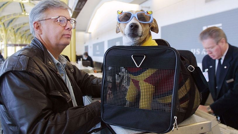399830 01:  F. Andy Messing Jr. checks in at an airline counter with his pet "Dick the Dog" for a flight to St. Petersburg, Florida January 18, 2002 at Washington DC's Reagan National Airport.  A new law went into effect January 18 requiring airlines to check for explosives, either by machine, hand or bomb-sniffing dog,or by matching each piece of luggage to a passenger on board.  (Photo by Manny Ceneta/Getty Images)