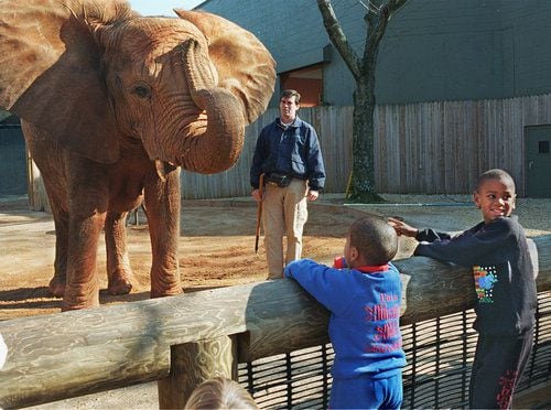 Zoo Atlanta's expansion plans