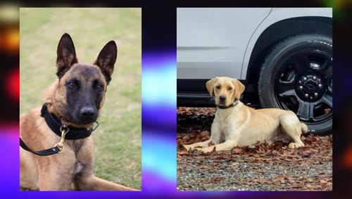Police K-9s Chase (left), of Cobb County, and Wade, of Clayton County, both died from medical emergencies after being left in patrol cars within a two-week period.