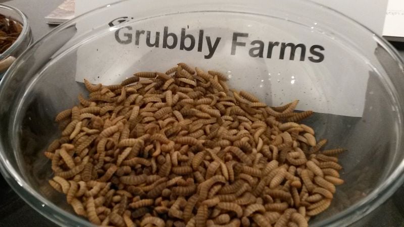 Atlanta-based Grubbly Farms, which raises fly larvae to be used as a food source for farm animals, used some of its bugs as props at a recent Venture Atlanta conference, which connects investors with business owners in need of funding. MATT KEMPNER / AJC