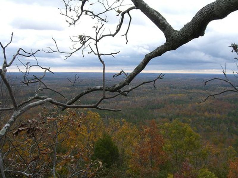 The view from a tree, 40 feet up at Dowdell's Knob, FDR Park, Pine Mountain, Ga., Nov. 15, 2008