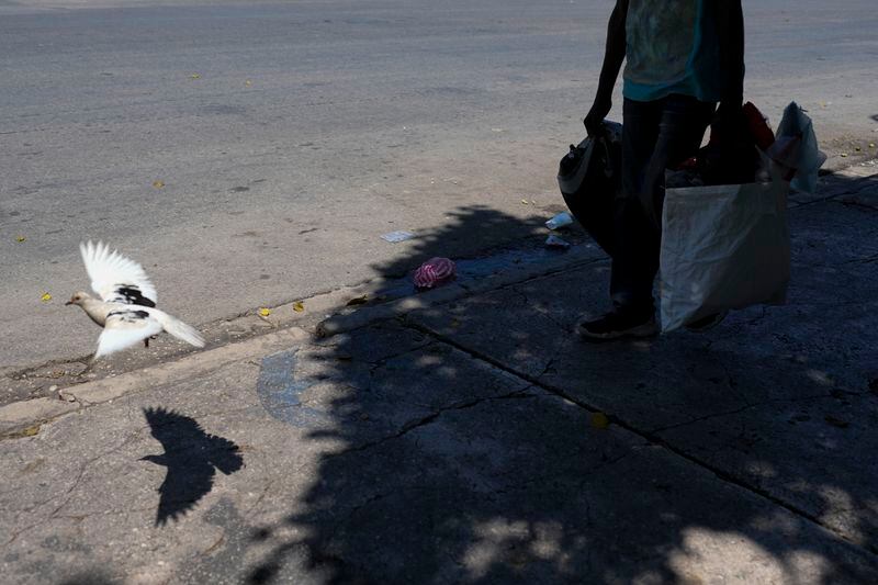 A bird casts a shadow on the sidewalk ouside the National Palace in Port-au-Prince, Haiti, Tuesday, April 30, 2024. (AP Photo/Ramon Espinosa)