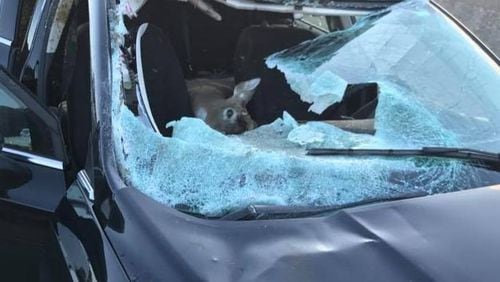 A deer crashed into a car Saturday. (Photo: Lyon Township Fire Department)