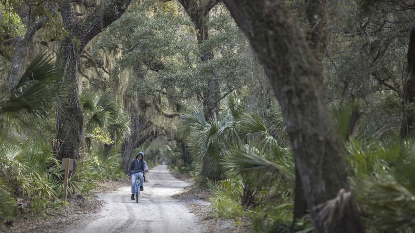 A NEW VISITOR PLAN THAT'S BEEN PROPOSED FOR THE CUMBERLAND ISLAND NATIONAL SEASHORE