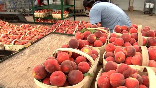 The Georgia Department of Agriculture has no plans to close the state-funded farmers market in southwest Georgia, according to an agency official.
