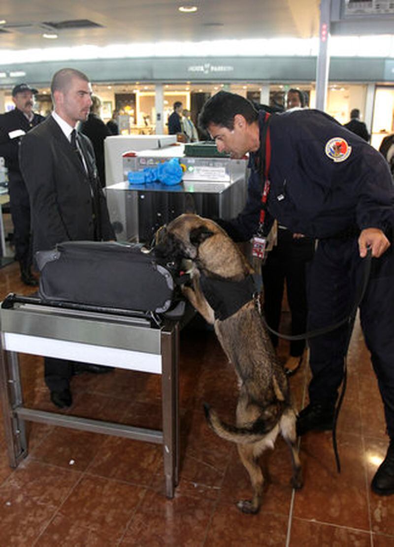 A police officer with a sniffer dog checks a passenger's suitcase at a security control before boarding their plane, at the Nice-Cote d'Azur airport, in Nice, France, Wednesday, May 4, 2011. Security personnel remain vigilant following the death of al-Qaida's Osama bin Laden. (AP Photo/Lionel Cironneau)
