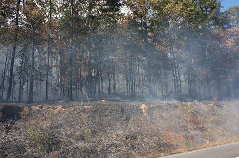 The fires in Floyd County are now under control, according to a Georgia Forestry Commission official. (Credit: Rome News-Tribune)