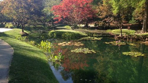 About an hour north of Atlanta, Gibbs Gardens encompasses streams, waterfalls, water gardens, reflecting ponds and, of course, beautiful greenery. The 220-acre grounds include Japanese gardens, water lilies, and, in the spring, a display of 20 million daffodils. CONTRIBUTED BY JOAN COPPOLINO