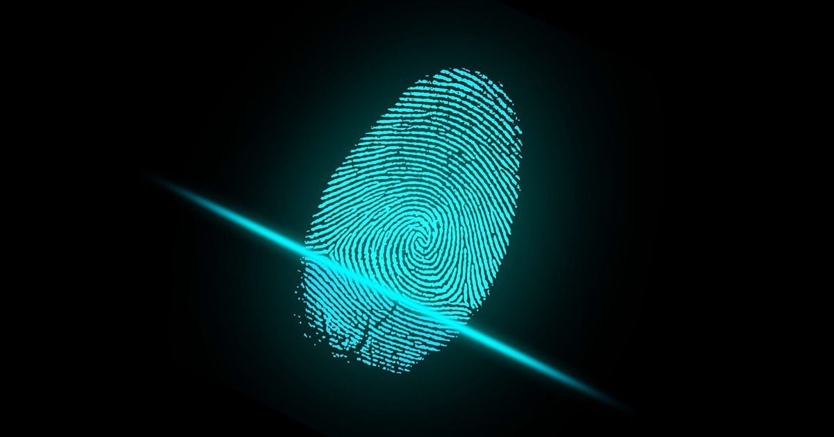 Digital Fingerprints news