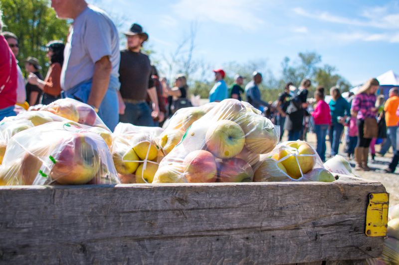 Apples by the bagful are sold during the Georgia Apple Festival, held each October in Ellijay. Live entertainment, crafts and foods featuring apples are part of the celebration. Contributed by Gilmer Chamber.