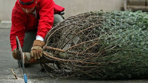 An employee cuts the trunk of a Christmas tree evenly before it leaves with a customer at Big John's Christmas Trees.