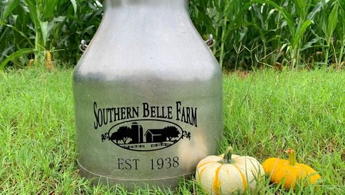 Southern Belle Farm's activity admission includes access to their 4-acre corn maze, pumpkin patch, cow train ride, slides, jumping pillow and more. 
Courtesy of Meghan Threadgill/Southern Belle Farm
