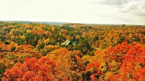 Historic Banning Mills turns bright in the fall. Photo: Courtesy of Historic Banning Mills