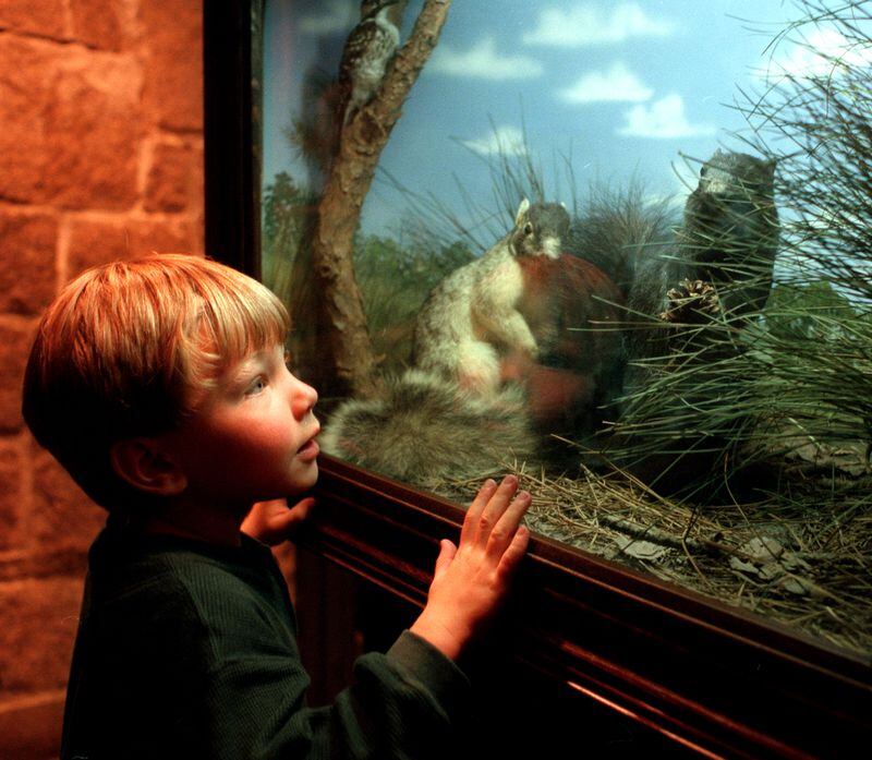 Back in 1998, 3 year-old Trevor Krolak of Alpharetta examined one of the exhibits at Fernbank Science Center. (Anitta C. Charlson/AJC)