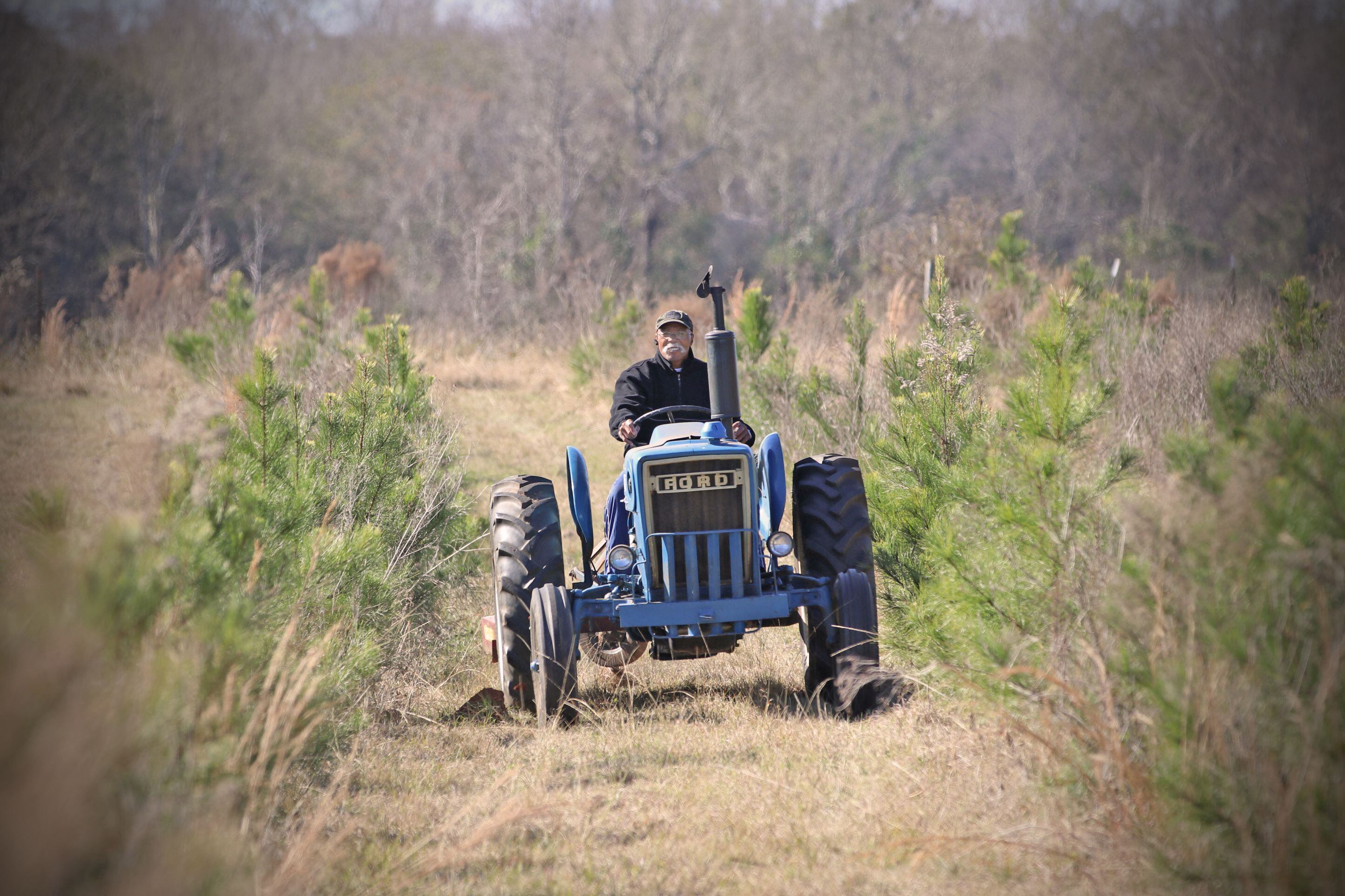 Georgia Rushes to Preserve Historic Black Farming Community