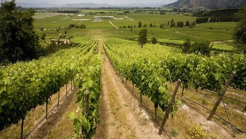 The majority of the Chile's wine regions fall between the 32nd and 38th parallels, a pocket where good things have been happening with wine for a long time. (Dreamstime/TNS)