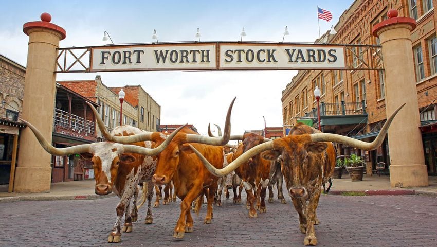The Six Best Homegrown Texas Apparel and Western Fashion Brands
