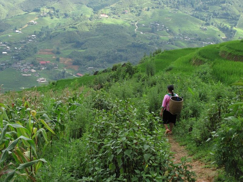 Hiking the mountainous Sapa region in north Vietnam offers unparalleled views and chances to meet and learn about the indigenous people in the area. Contributed by T. Opdyke III